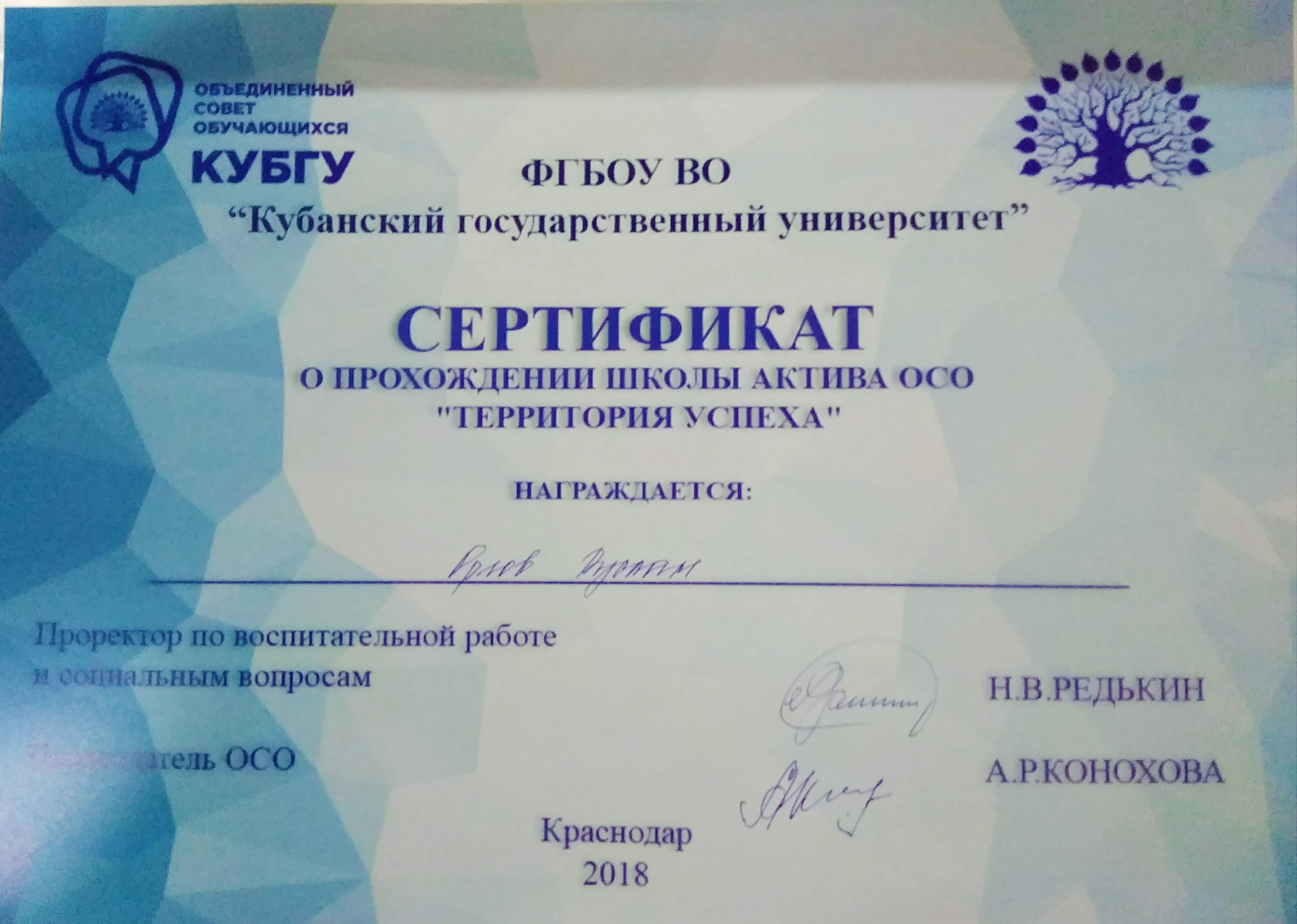 Сертификат вожатого образец